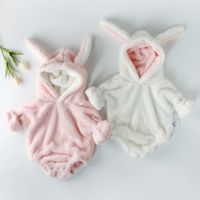 uploads/erp/collection/images/Baby Clothing/Engepapa/XU0398443/img_b/img_b_XU0398443_1_mV9i54dg-v6ZK621LtV1JDeJ0lDqA5e-